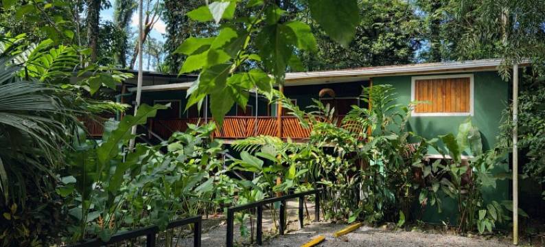 绿色丛林屋(Hotel Boutique the Green Jungle House)图片
