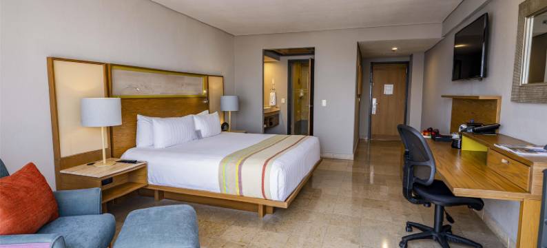 韦拉克鲁斯广场画廊酒店(Hotel Galería Plaza Veracruz)图片