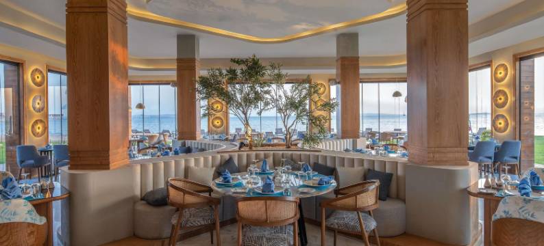 马加维什湾景里克萨斯高级酒店(Rixos Premium Magawish Bay View)图片