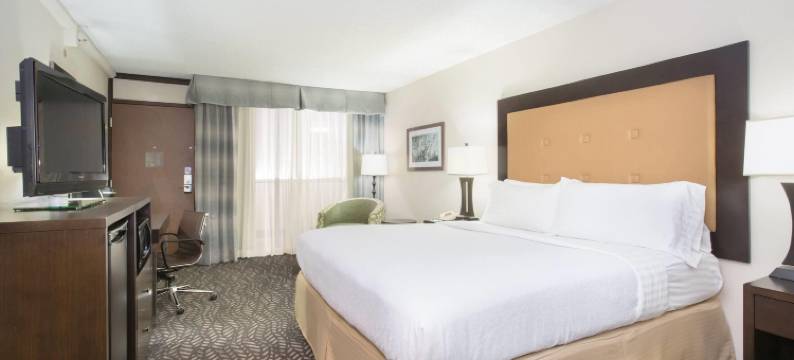 Holiday Inn 小石城机场- CONF的点击率(Wyndham Grand Executive Center Little Rock Airport)图片