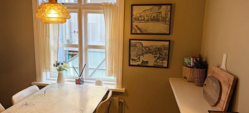 格雷蒂尔宾馆(Grettir Guesthouse)图片