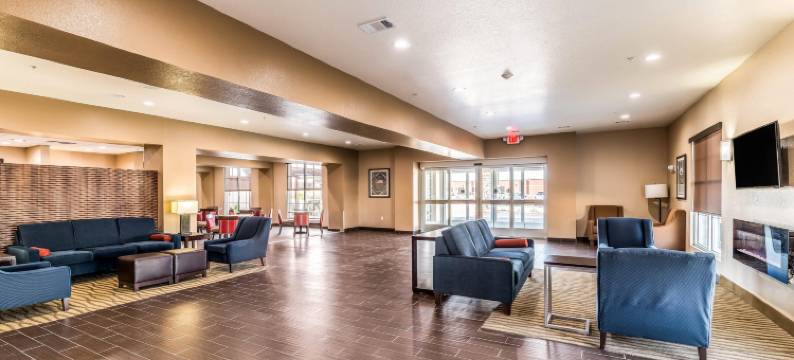 大草原城阿灵顿北部舒适套房酒店(Comfort Suites Grand Prairie - Arlington North)图片