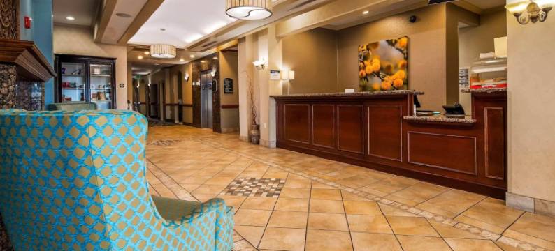 舒适酒店及套房(Comfort Inn & Suites)图片