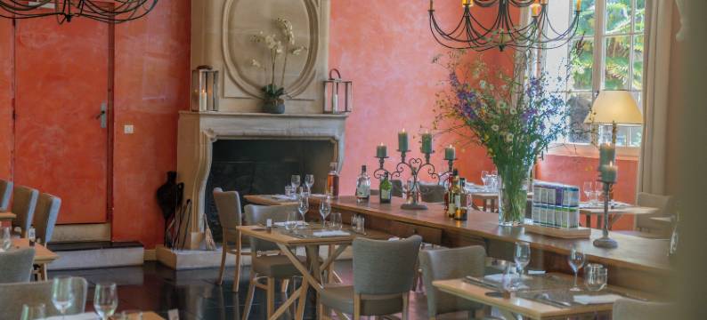 罗吉斯酒店餐厅莫特驿站(Logis Hôtel Restaurant Relais de la Mothe)图片