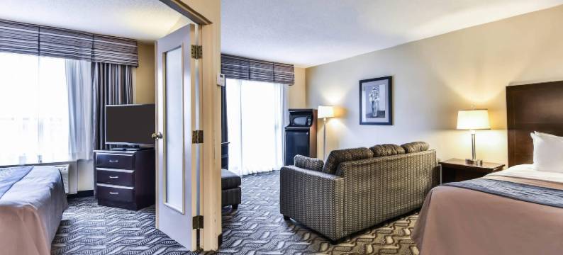 舒适酒店及套房大使桥(Comfort Inn & Suites Ambassador Bridge)图片