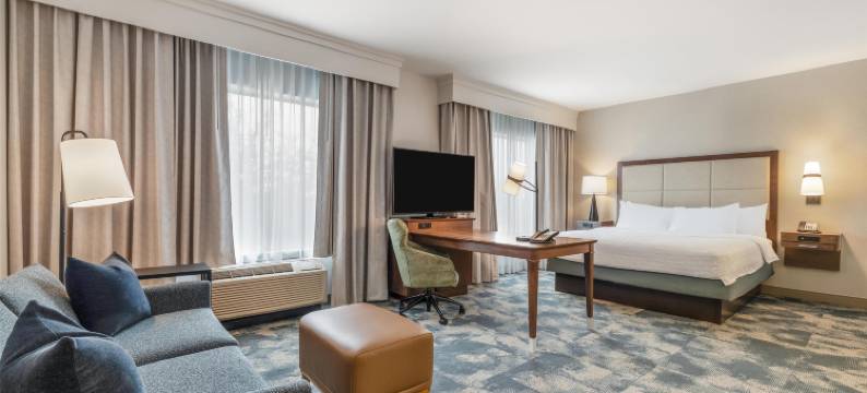 达拉斯-普莱诺东欢朋套房酒店(Hampton Inn & Suites Dallas/Plano-East)图片