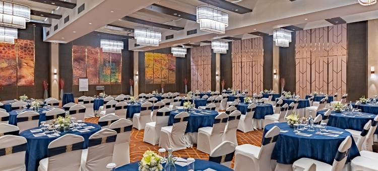 大诺伊达区丽笙酒店(Radisson Blu Hotel Greater Noida)图片