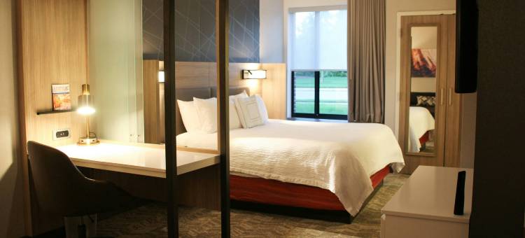 巴尔的摩白沼泽中河SpringHill Suites酒店(SpringHill Suites Baltimore White Marsh/Middle River)图片