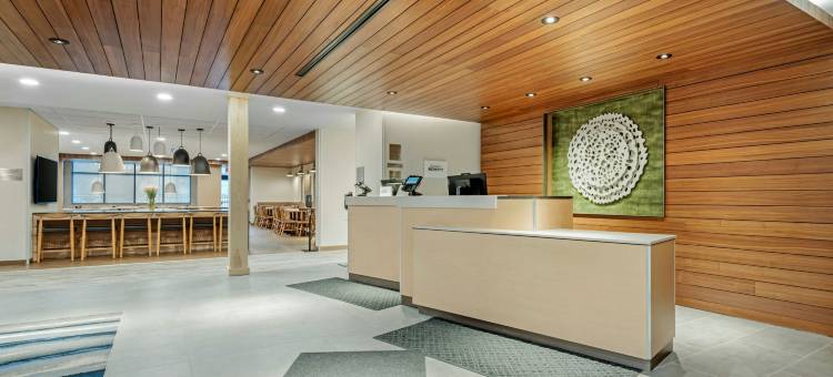 北康威万枫套房酒店(Fairfield Inn & Suites North Conway)图片