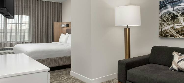 亚特兰大比福德 - 格鲁吉亚州购物中心 SpringHill Suites 酒店(SpringHill Suites Atlanta Buford/Mall of Georgia)图片