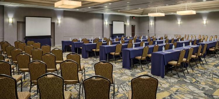 圣安东尼奥市区希尔顿逸林酒店(DoubleTree by Hilton Hotel San Antonio Downtown)图片