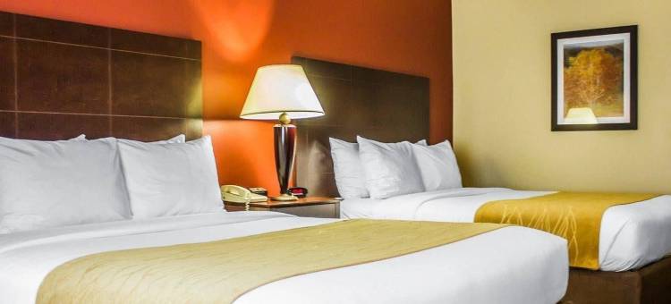 舒适套房酒店(Comfort Inn & Suites)图片