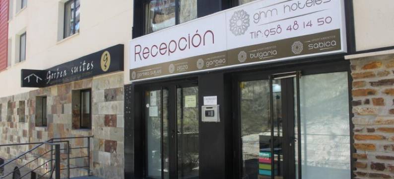 戈尔比亚套房(Apartamentos Gorbea Suites)图片