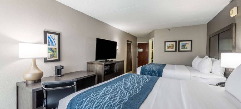 芝加哥绍姆堡舒适酒店 - 奥黑尔机场(Comfort Inn Chicago Schaumburg - O'Hare Airport)图片