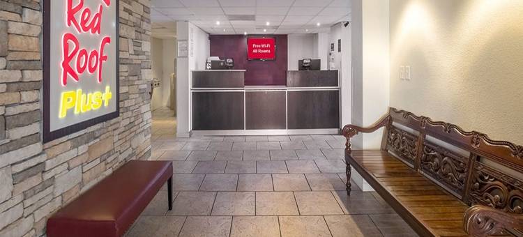 奥纳俱乐部贝纳维斯塔酒店(Ona Club Bena Vista)图片