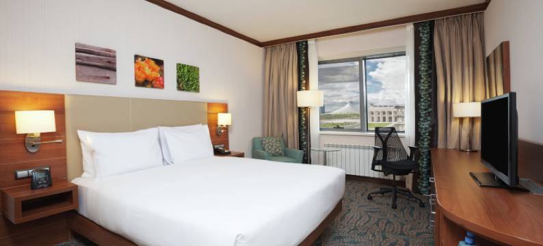 阿斯塔纳希尔顿花园酒店(Hilton Garden Inn Astana)图片