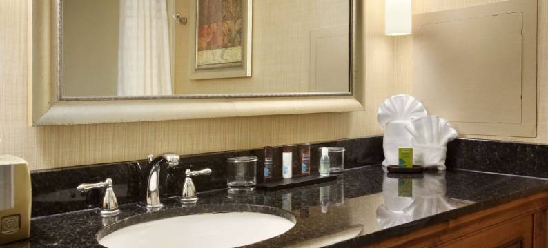 Embassy Suites by Hilton Columbia Greystone图片