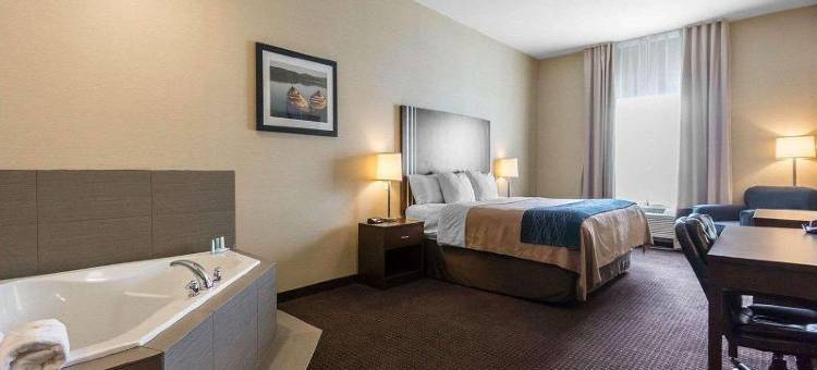 舒适套房酒店(Comfort Inn & Suites)图片