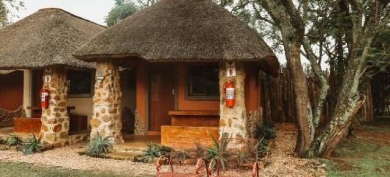 露天剧场背包客旅馆(Amphitheatre Backpackers Lodge)图片