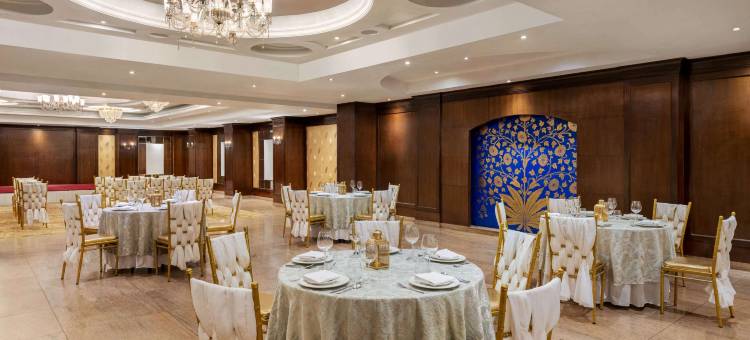 齐普尔北温德姆华美达酒店(Ramada by Wyndham Jaipur North)图片