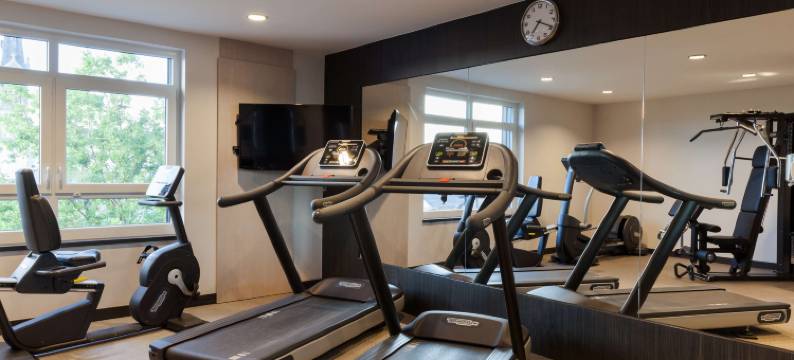 斯特拉斯堡南部阿尔萨斯原生精品酒店(The Originals Boutique, Hôtel d'Alsace, Strasbourg Sud)图片