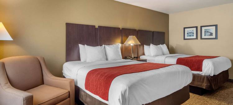 佩里国家博览会场区舒适套房酒店(Comfort Inn & Suites Perry National Fairgrounds Area)图片