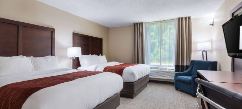 舒适酒店(Comfort Inn)图片