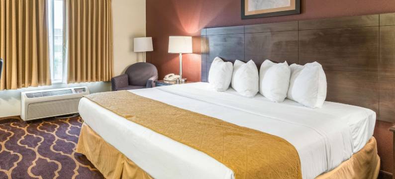 凯艺酒店(Quality Inn)图片