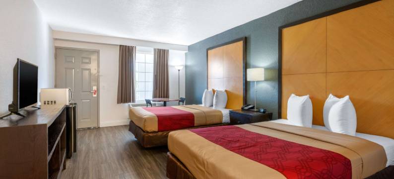 机场-坦帕RJ体育馆伊克诺旅馆(Econo Lodge Airport - RJ Stadium)图片