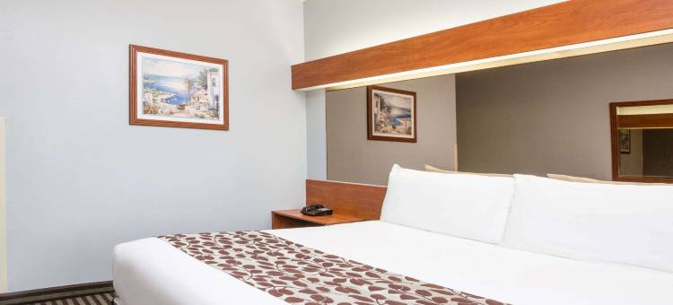 加兰达拉斯麦客达温德姆酒店(Microtel Inn & Suites by Wyndham Garland/Dallas)图片