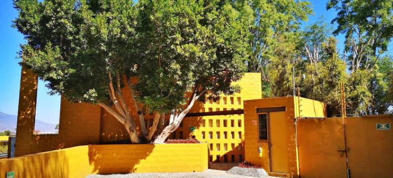 埃尔坎波酒之家温泉酒店(Hotel Casa en El Campo)图片