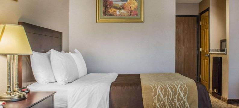 品质酒店(Quality Inn Lockport)图片