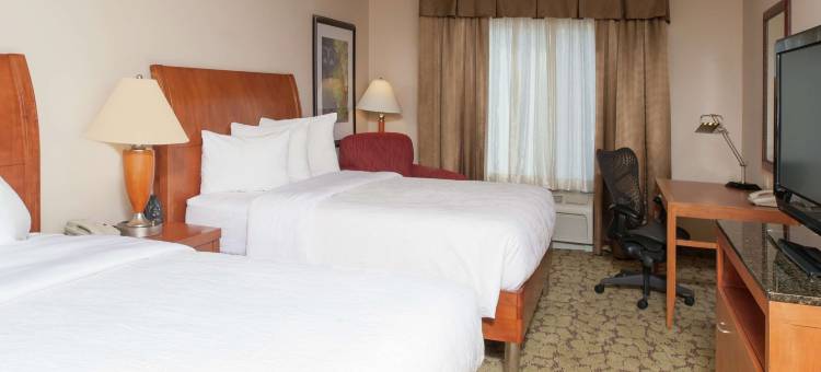 奥克代尔圣保罗希尔顿花园酒店(Hilton Garden Inn St. Paul/Oakdale)图片
