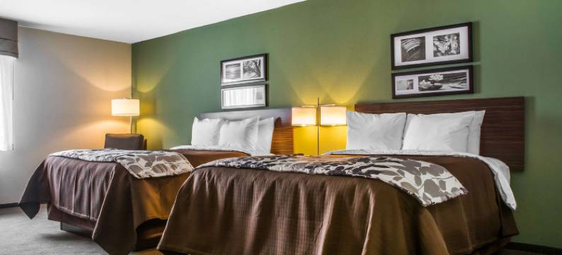 机场舒眠套房酒店(Sleep Inn & Suites East Syracuse)图片