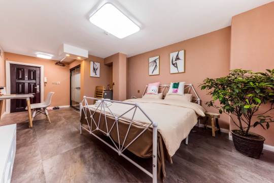 隐沪市区店民宿(陆家浜路分店)