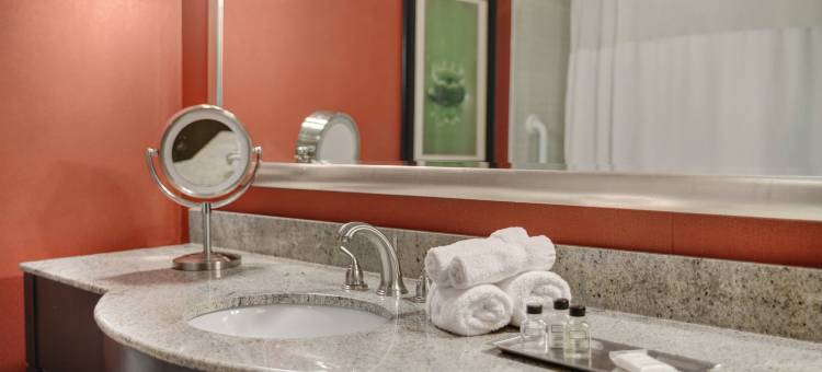 Crowne Plaza 休斯顿广场区(Crowne Plaza Houston Galleria Area)图片