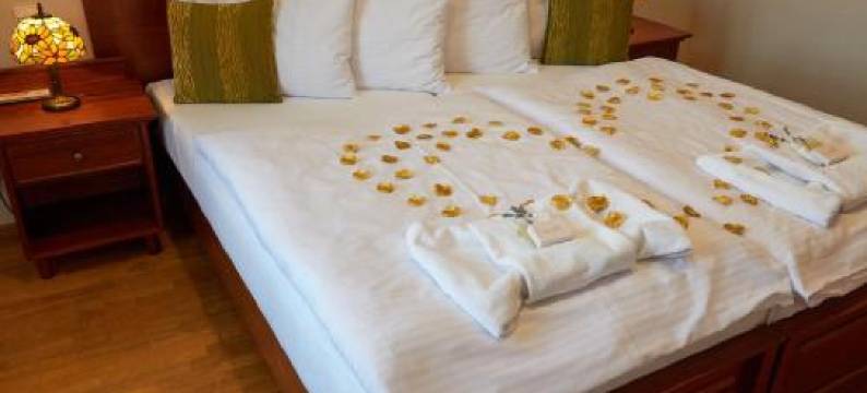 哈德纳斯特拉酒店(Hradná stráž Hotel&Apartments s privátnym Wellness)图片