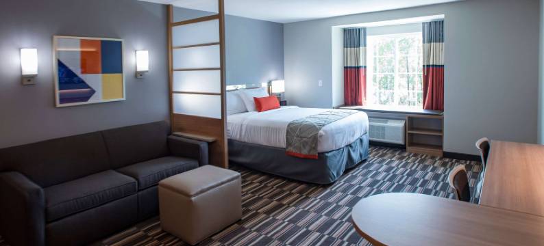 阿姆斯特丹麦客达温德姆酒店(Microtel Inn & Suites by Wyndham Amsterdam)图片