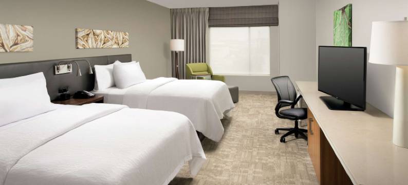 圣安东尼奥机场南希尔顿花园酒店(Hilton Garden Inn San Antonio Airport South, TX)图片