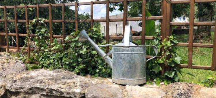 Casa Das Raposas图片