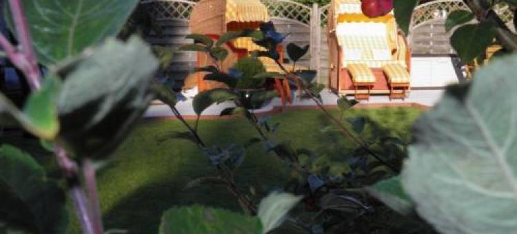 吉曼旅馆(Gästehaus Ziemann)图片