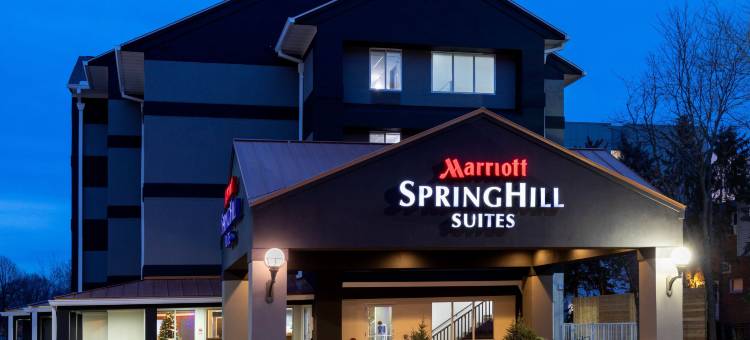 罗切斯特梅奥医学中心／圣玛丽医院万豪SpringHill酒店(SpringHill Suites Rochester Mayo Clinic Area/Saint Marys)图片