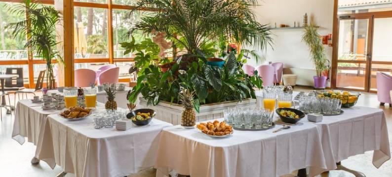 阿祖雷亚龙瑟莱班酒店(Azureva Ronce les Bains)图片