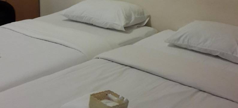 新马里纳维尔酒店(New Maleena Ville Hotel)图片