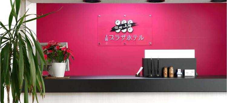 上田广场酒店(Ueda Plaza Hotel)图片