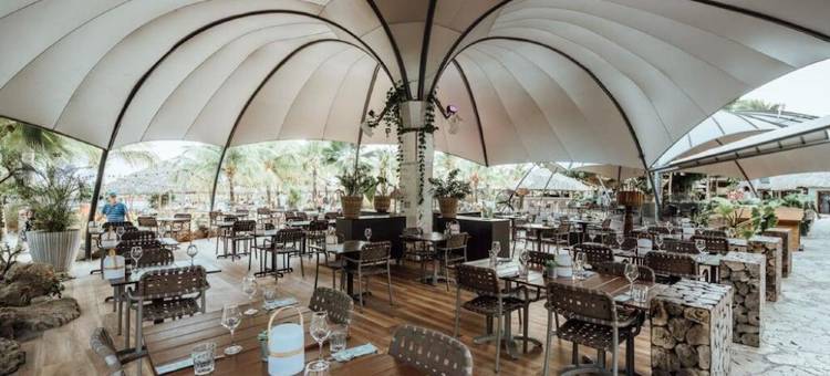 康提基海滩度假村(Kontiki Beach Resort)图片