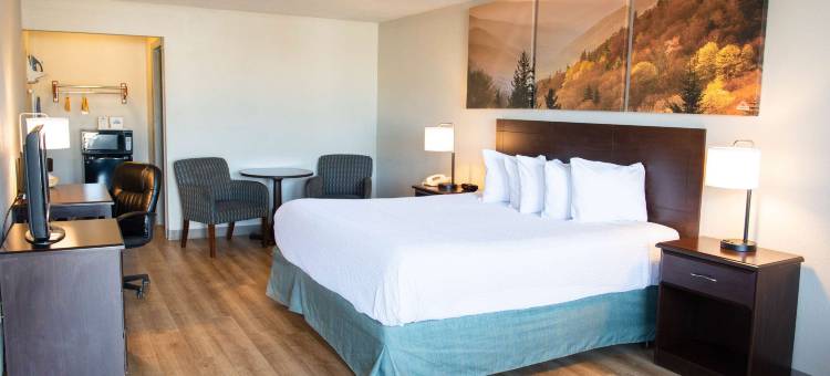 韦恩斯伯勒戴斯酒店(Days Inn by Wyndham Waynesboro)图片