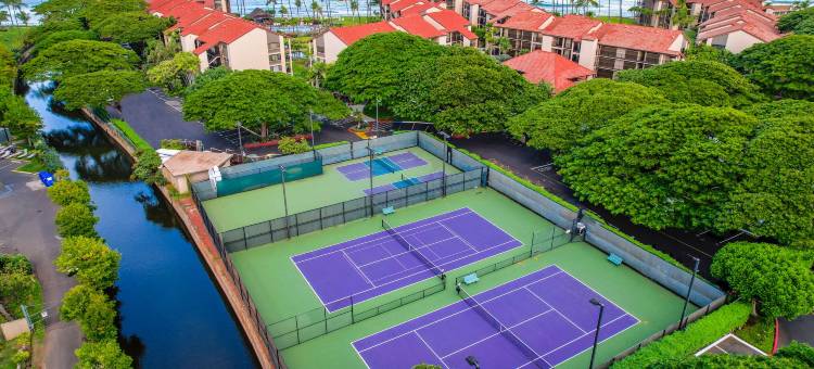 阿斯顿帕帕克度假酒店(Aston at Papakea Resort)图片