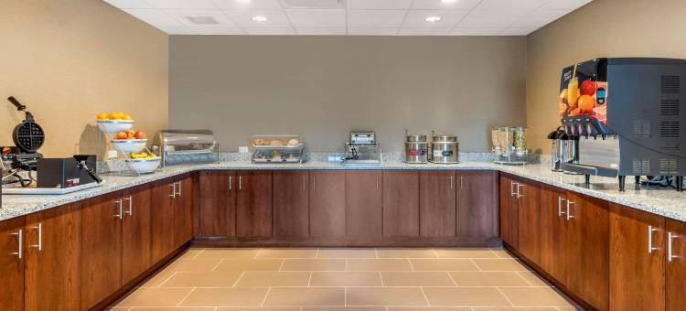 舒适套房旅馆(Comfort Inn & Suites)图片