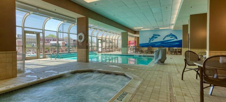 圣路易斯-切斯特菲尔德德鲁里广场酒店(Drury Plaza Hotel St. Louis Chesterfield)图片